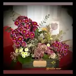 Basket Flower